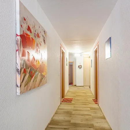 Guest house Haus Monika Todtmoos