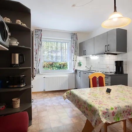 Haus Monika Guest house Todtmoos