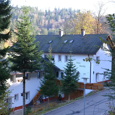 Haus Monika Todtmoos